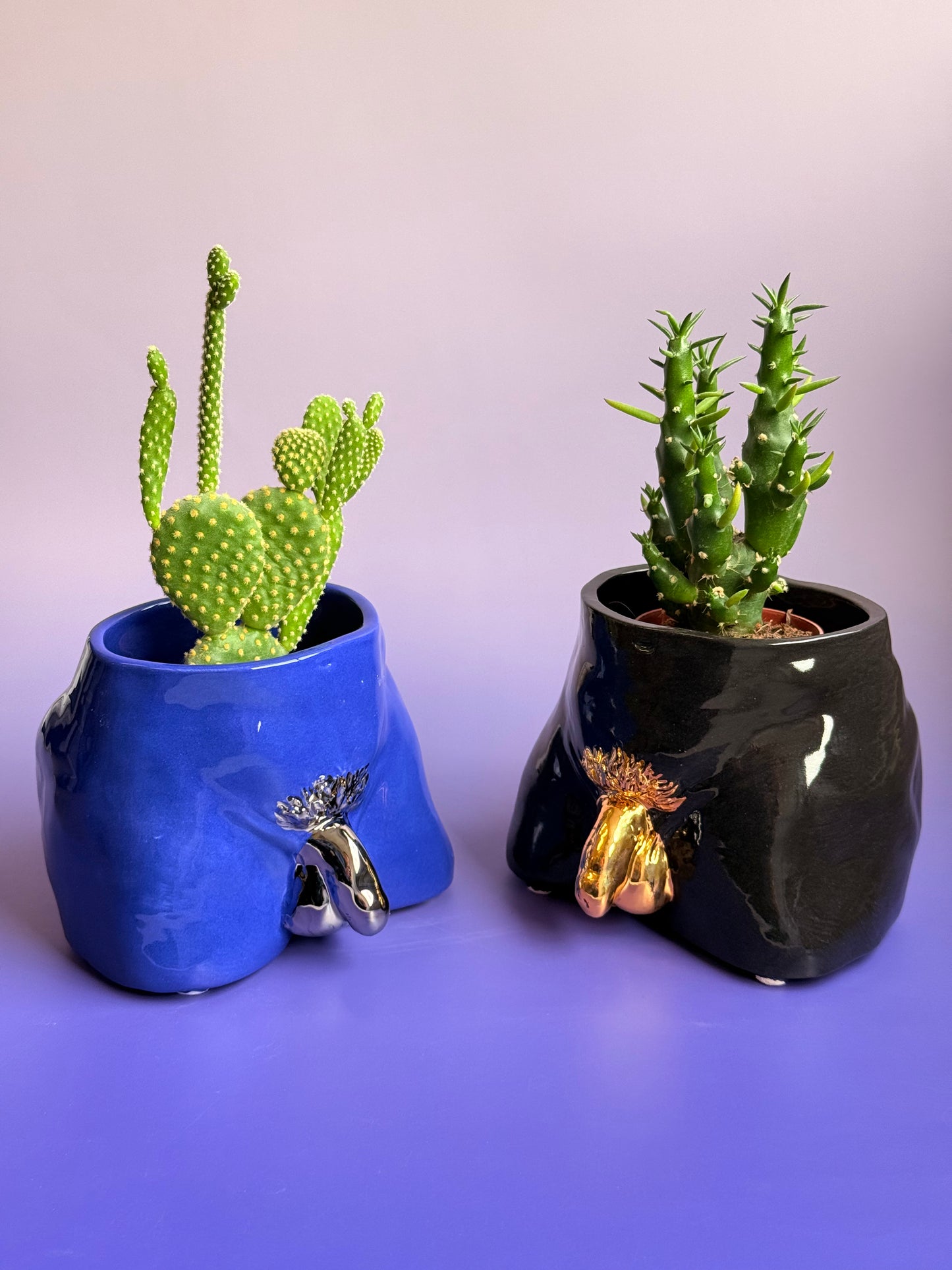 Ceramic flowerpot- David