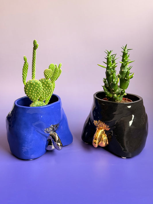 Ceramic flowerpot- David