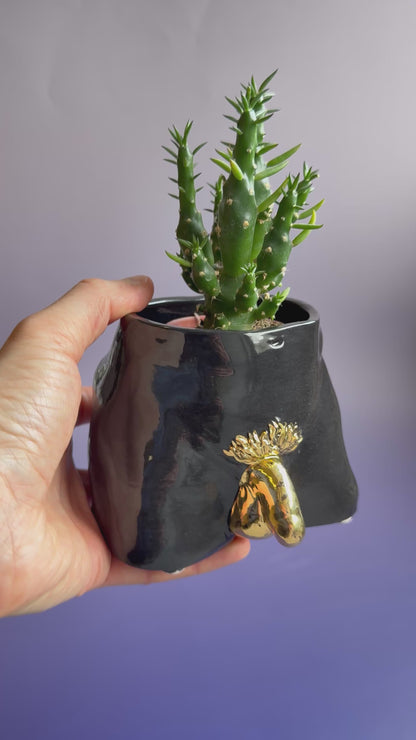 Ceramic flowerpot- David