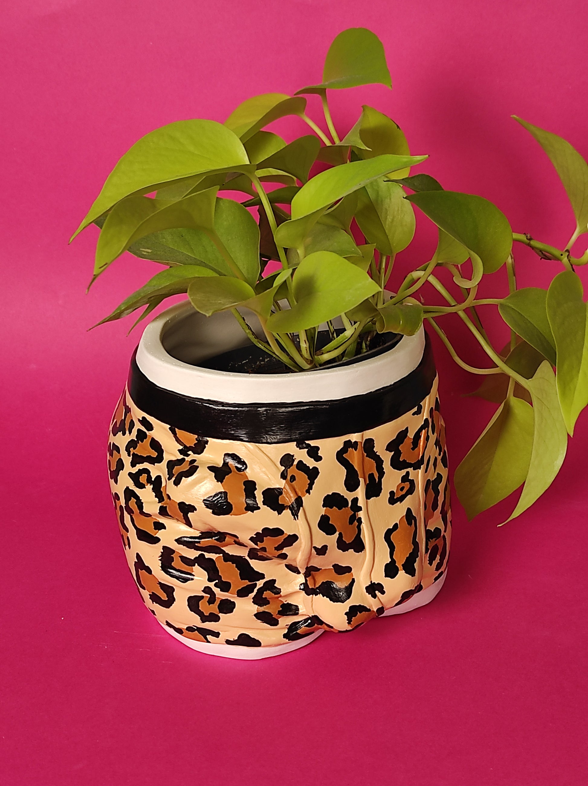 leopard plant pot Pot/organizer "ADAM" leopard – ARTBAZARSTORE